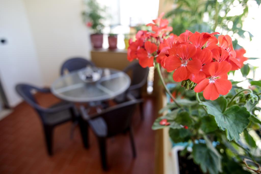 Adriatic Apartments Albania ドゥラス エクステリア 写真